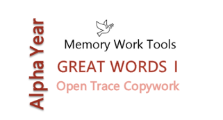 CCM Alpha Great Words I Copywork Complete Set