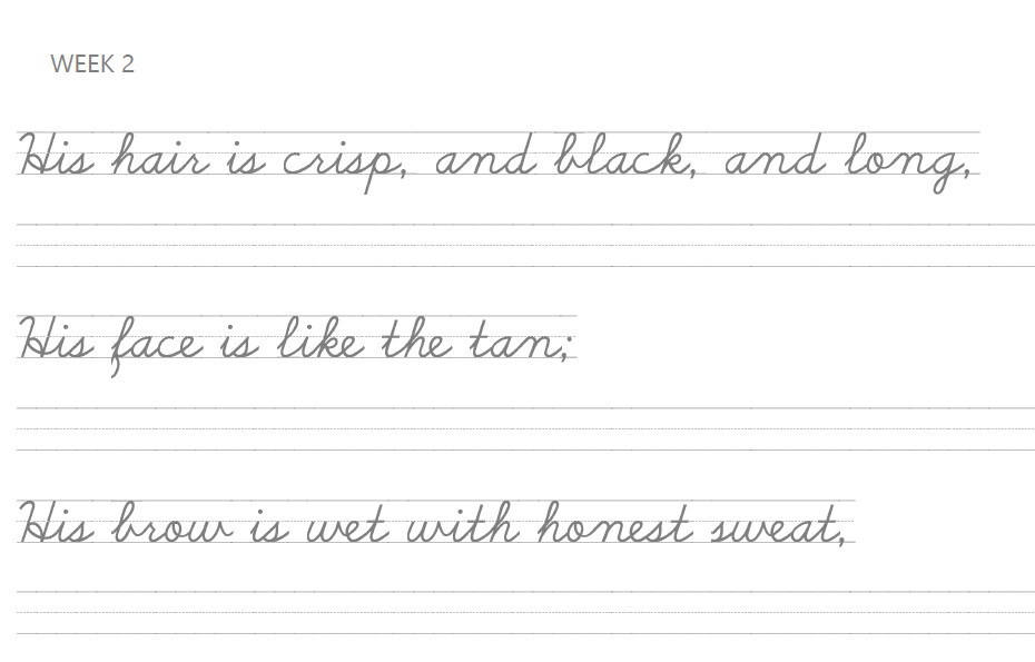 CCM Beta Great Words II Copywork Complete Set