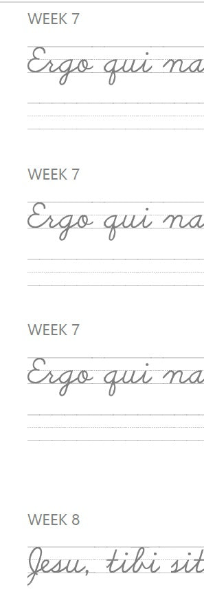 CCM Beta Latin Cursive Copywork