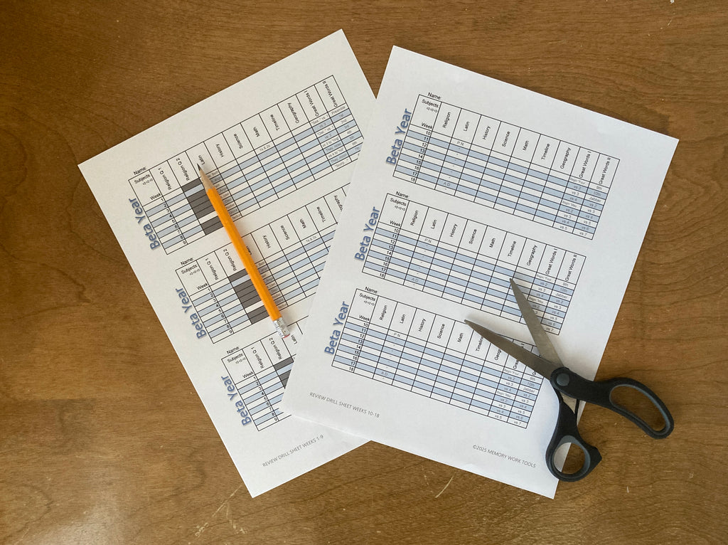CCM Beta Resource Bundle