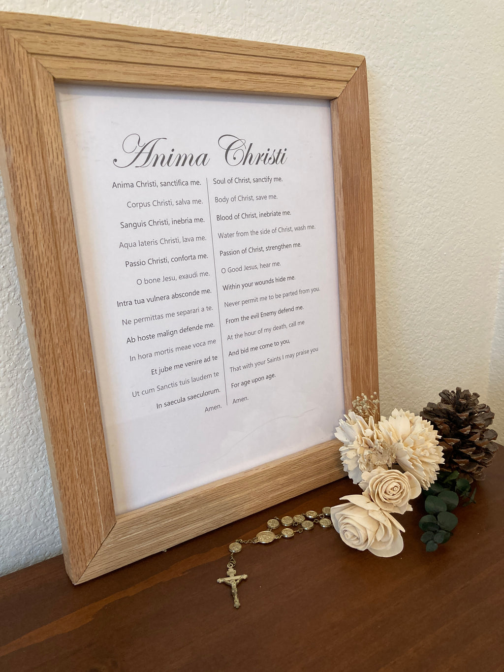 Latin Prayers - Anima Christi - Visual Aid