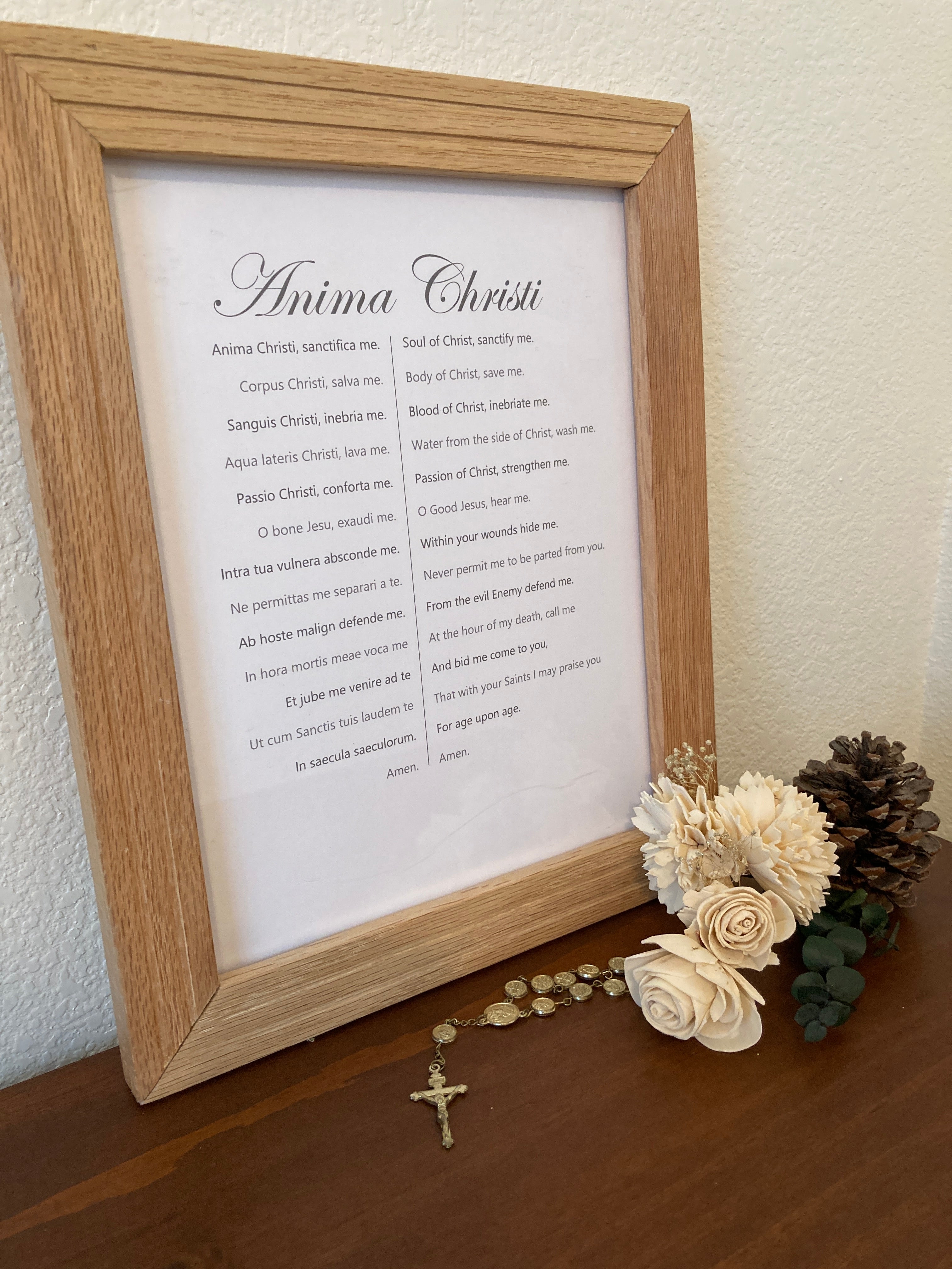 Latin Prayers - Anima Christi - Visual Aid