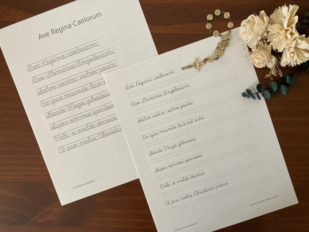 Printed black and white cursive copy work with tracing for Latin Marian Antiphon Ave Regina Caelorum