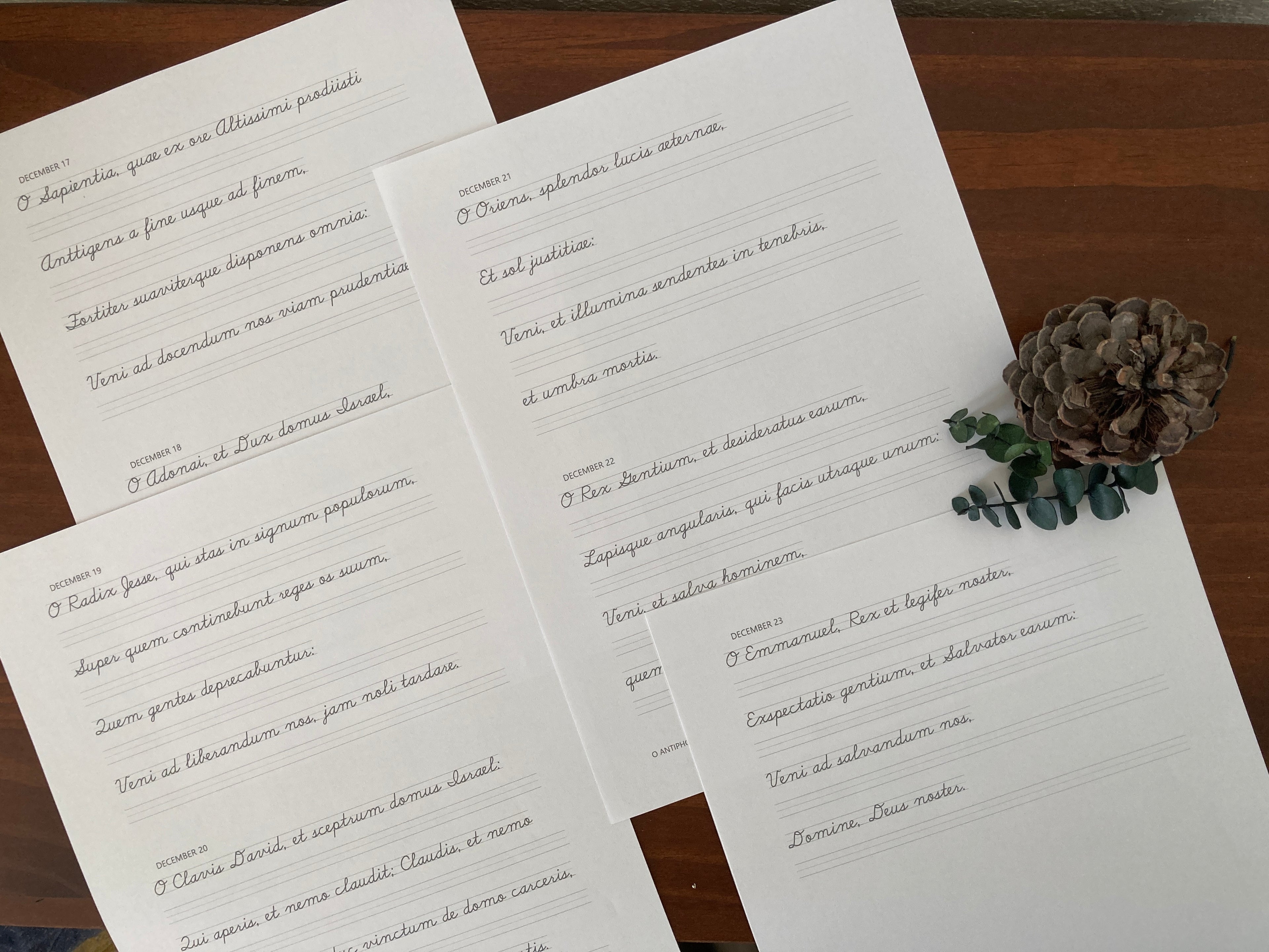 Printed four pages of Latin O Antiphons cursive copywork