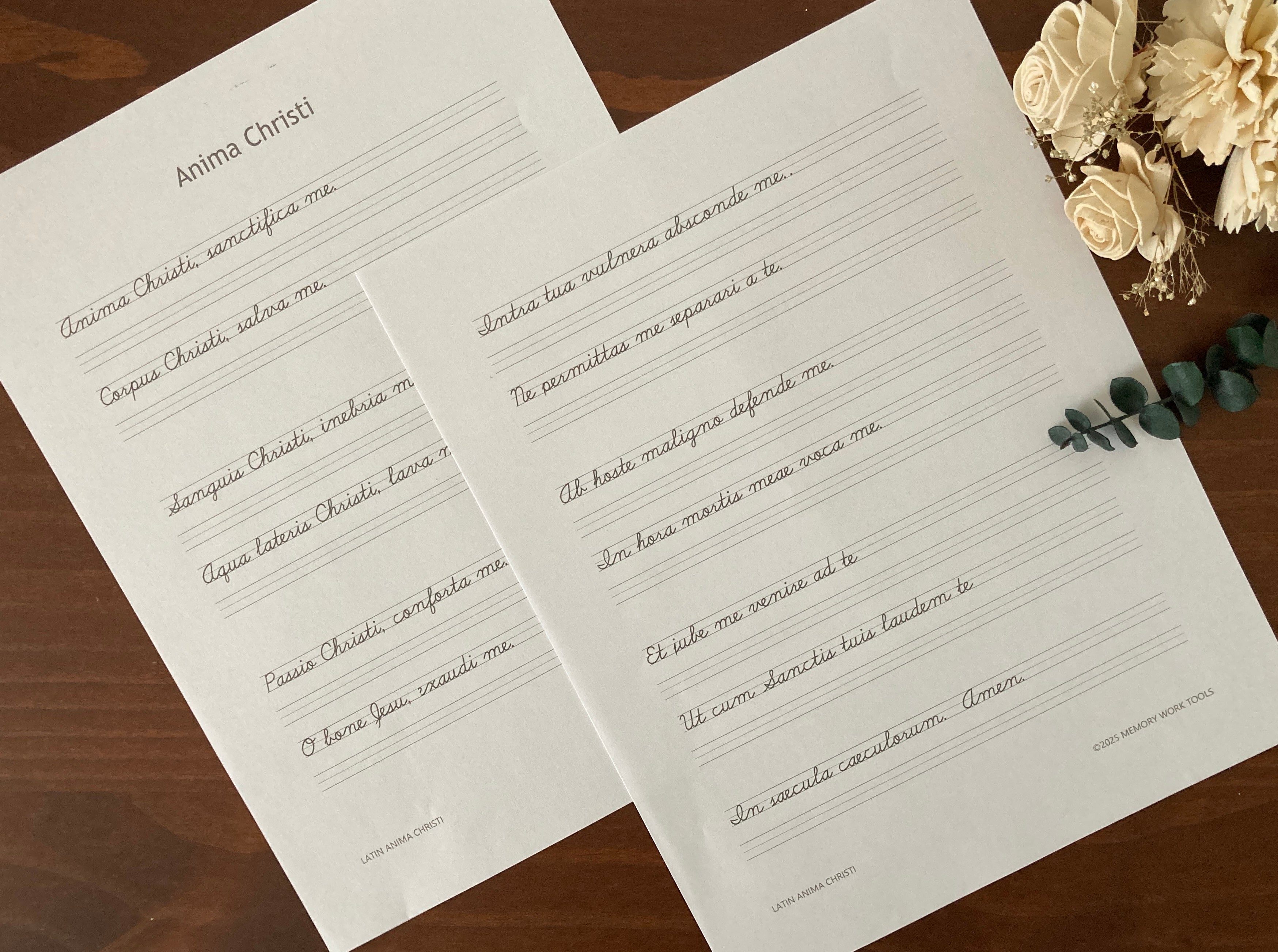 Printed two pages Latin Anima Christi in black and white cursive copywork