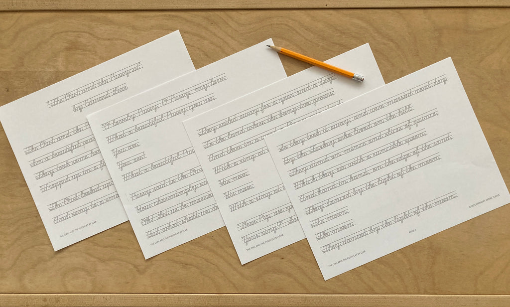 Poetry - The Owl and the Pussycat by Edward Lear